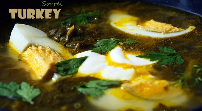 Turkey Sorrel Soup. Зелений Борщ.